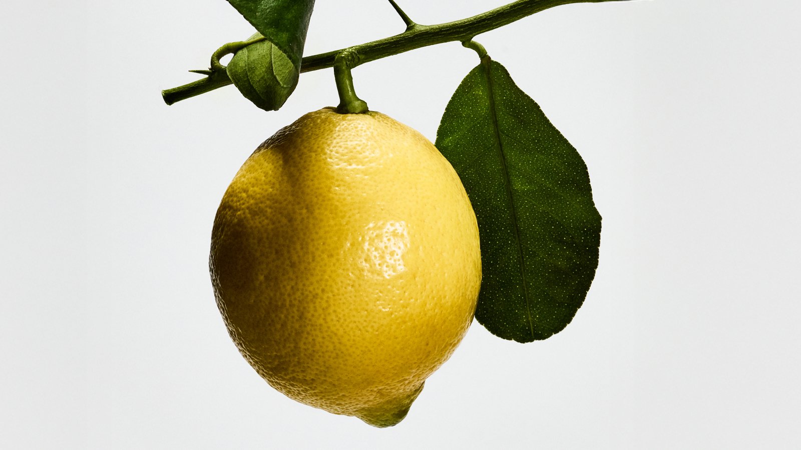 シトリック＆フレッシュ